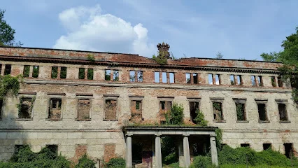 Pałac w Zatoniu